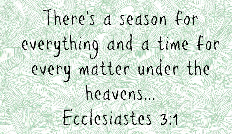 Bible in a Year – To Everything There is a Season